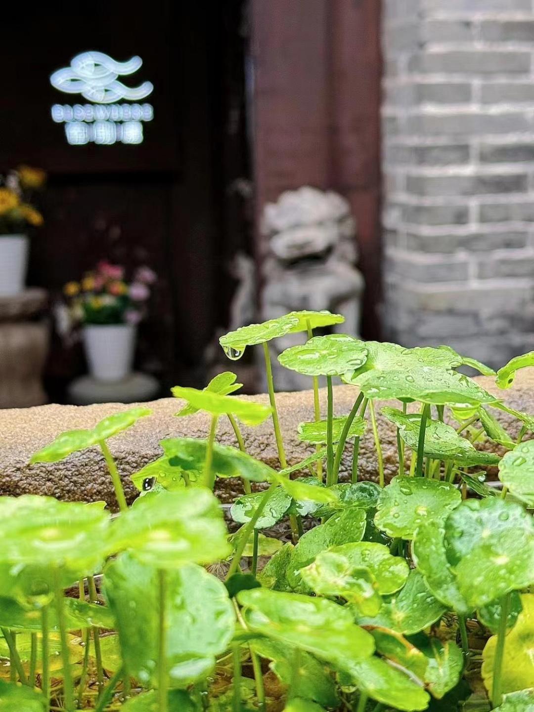 Elsewhere Hotel Inn Ancient City Center Branch Pingyao Extérieur photo